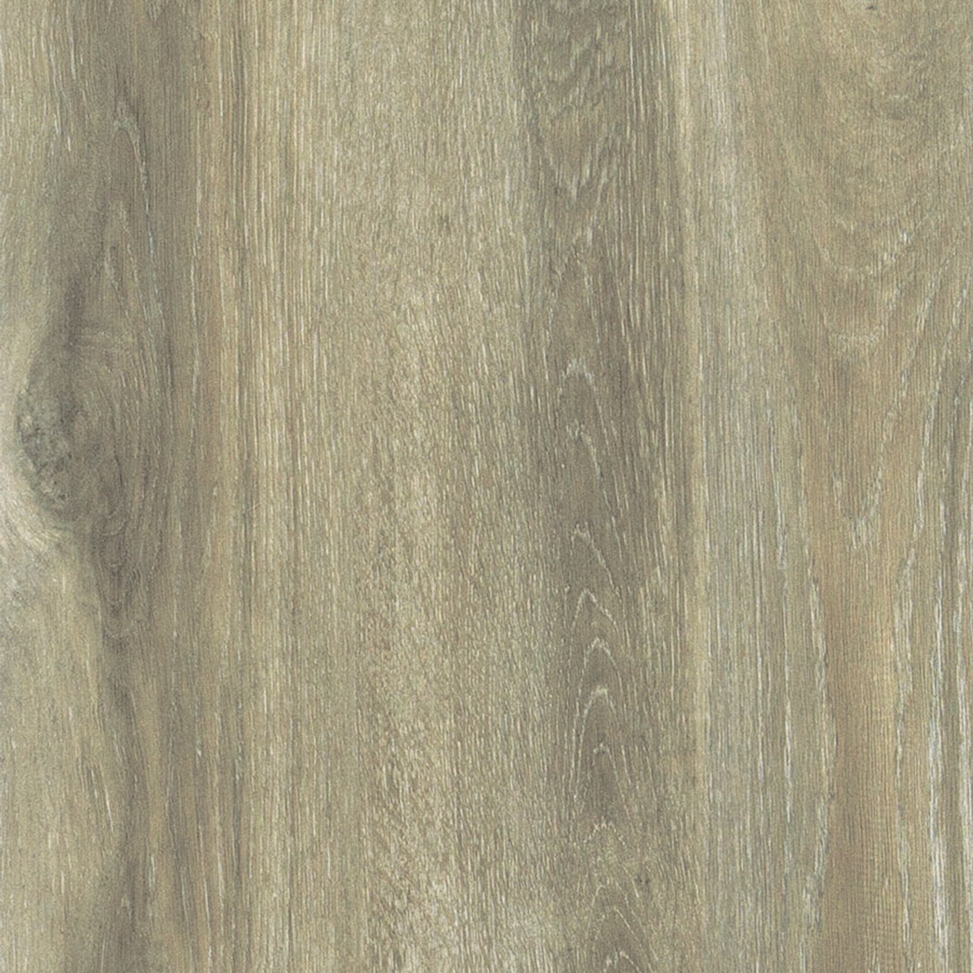 Forest Birch 30×60 cm — közeli nézet