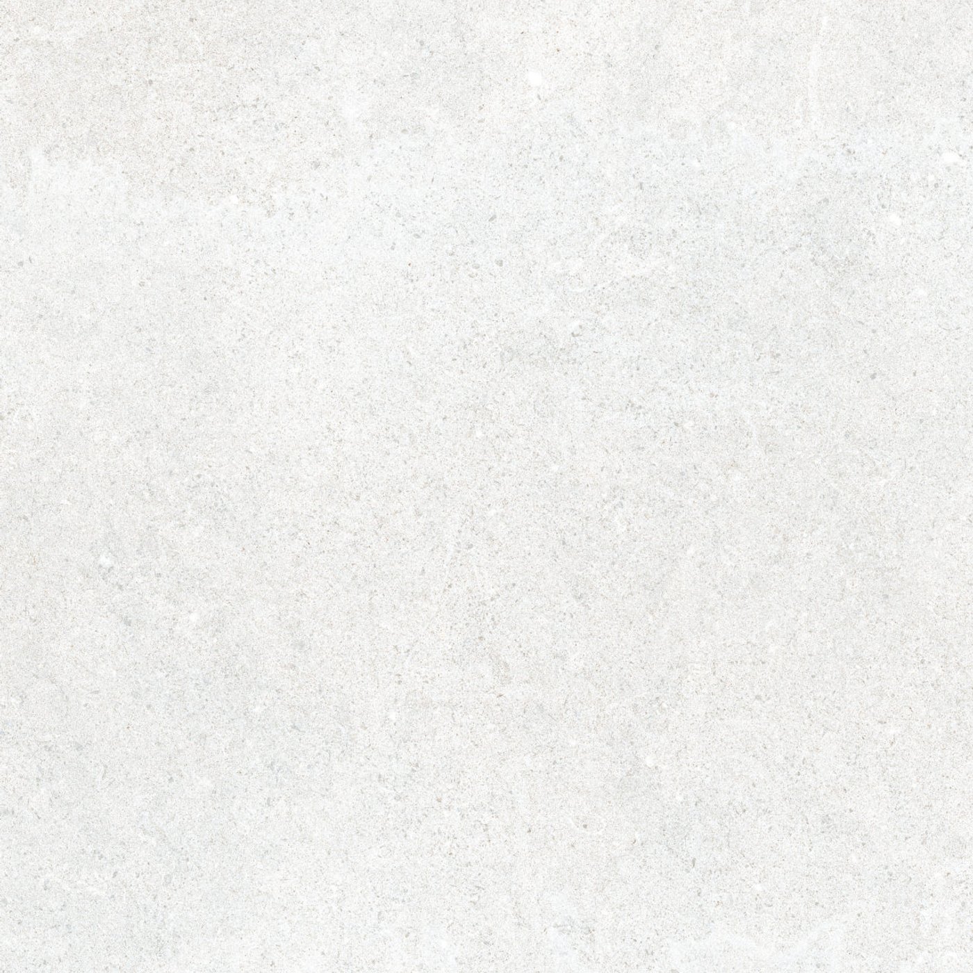 Coral Bianco 60×120 cm — közeli nézet
