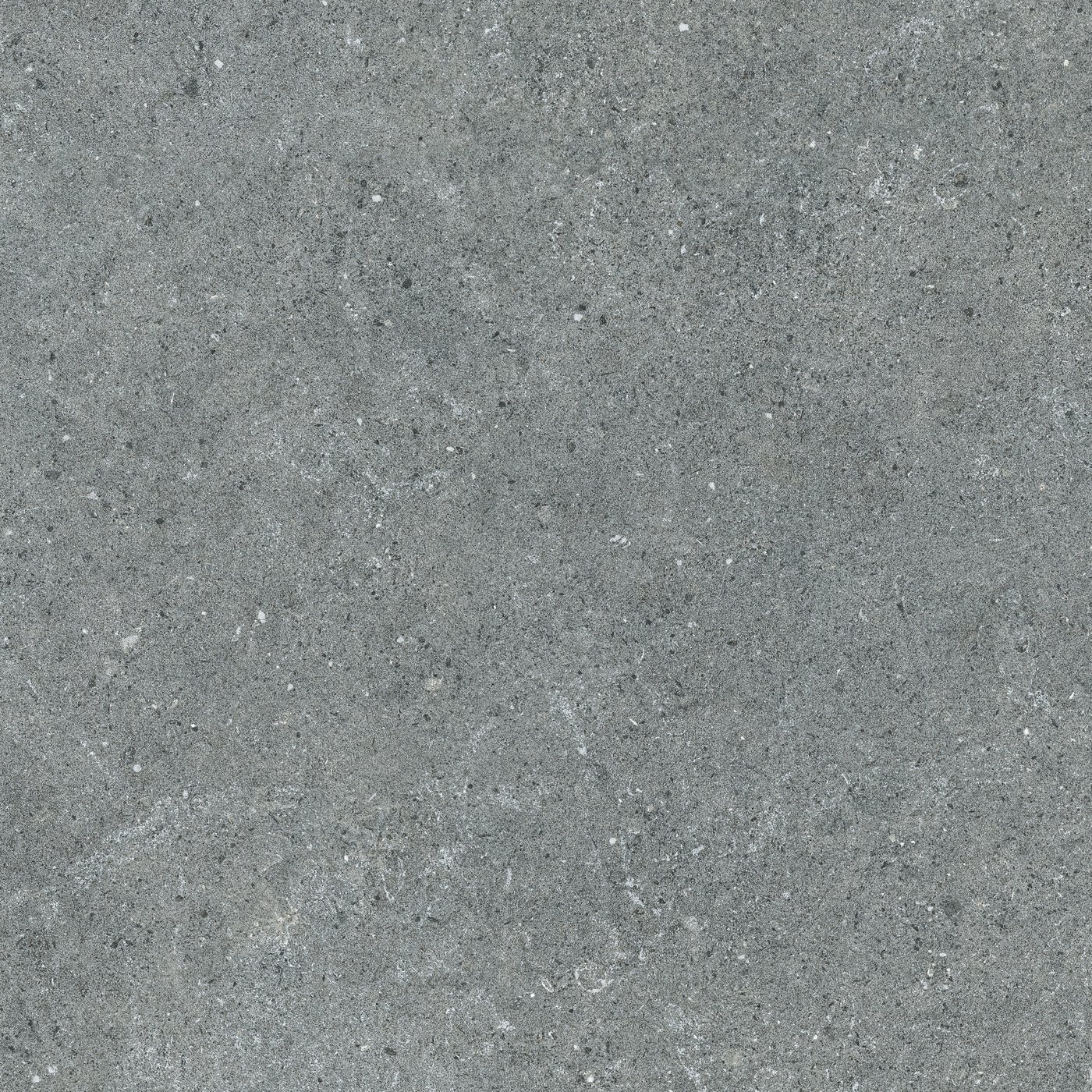 Coral Grigio Scuro 60×60 cm — közeli nézet