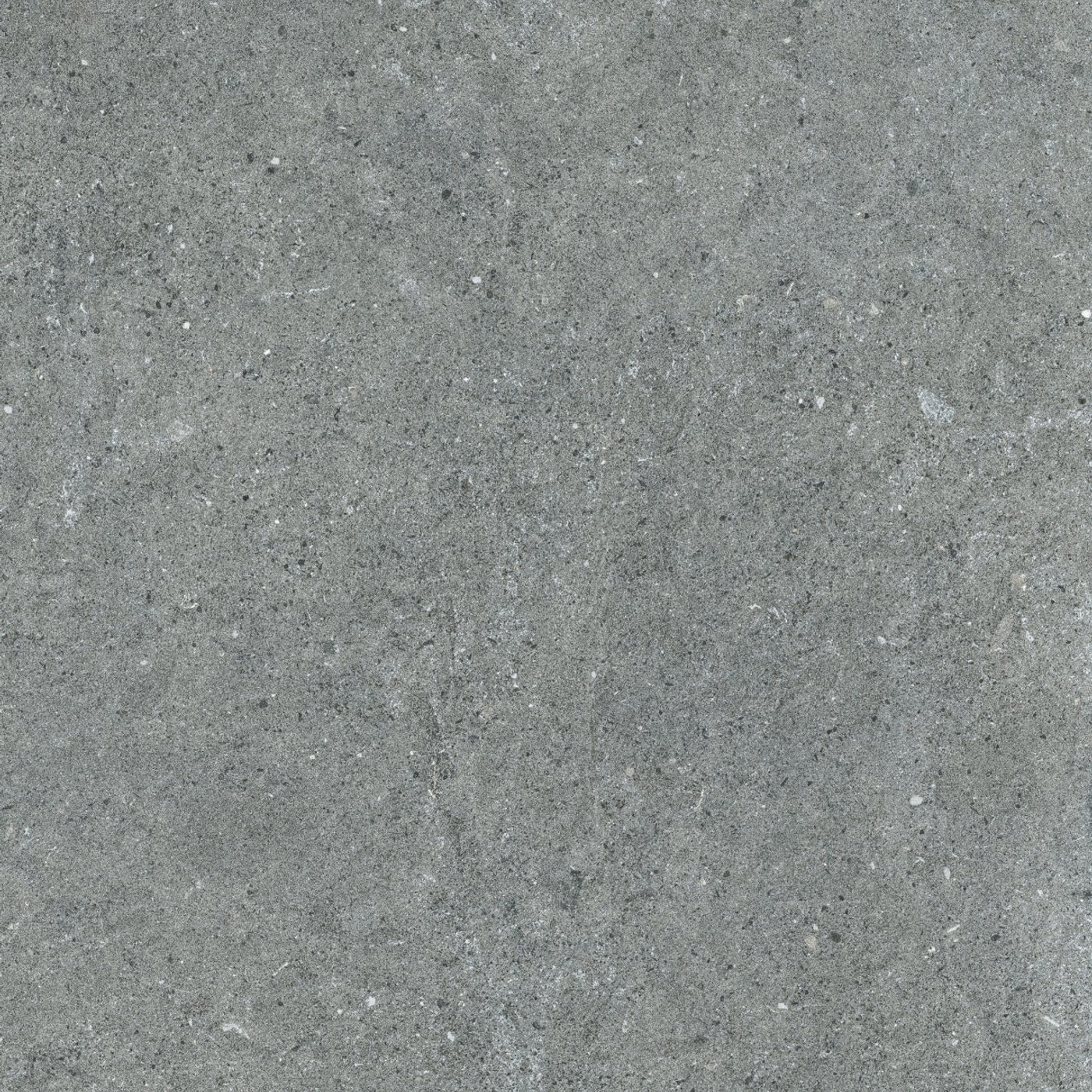 Coral Grigio Scuro 60×120 cm — közeli nézet