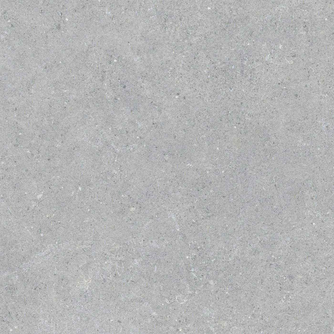 Coral Grigio Chiaro 60×60 cm — közeli nézet