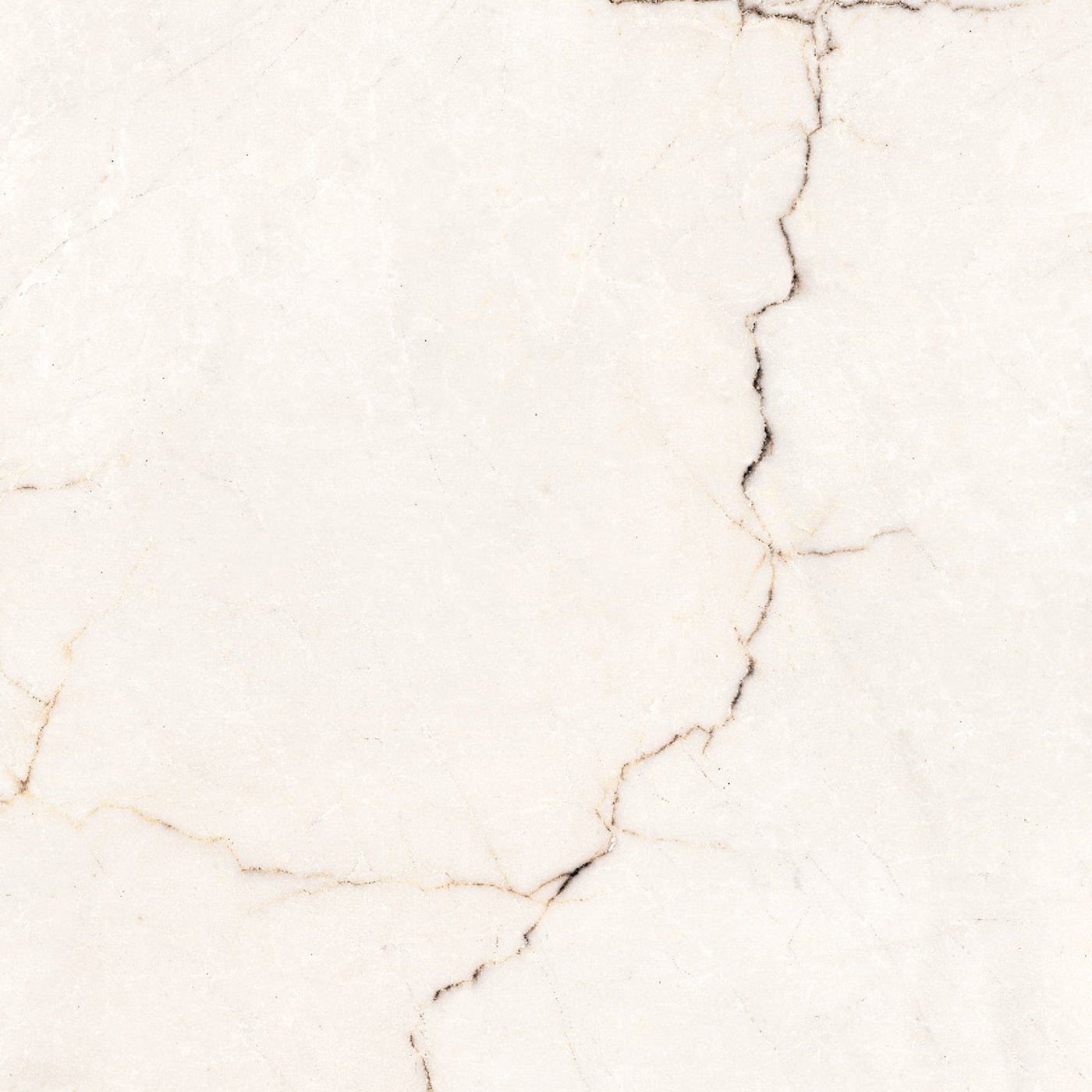 Veta Bianco 60×60 cm — közeli nézet