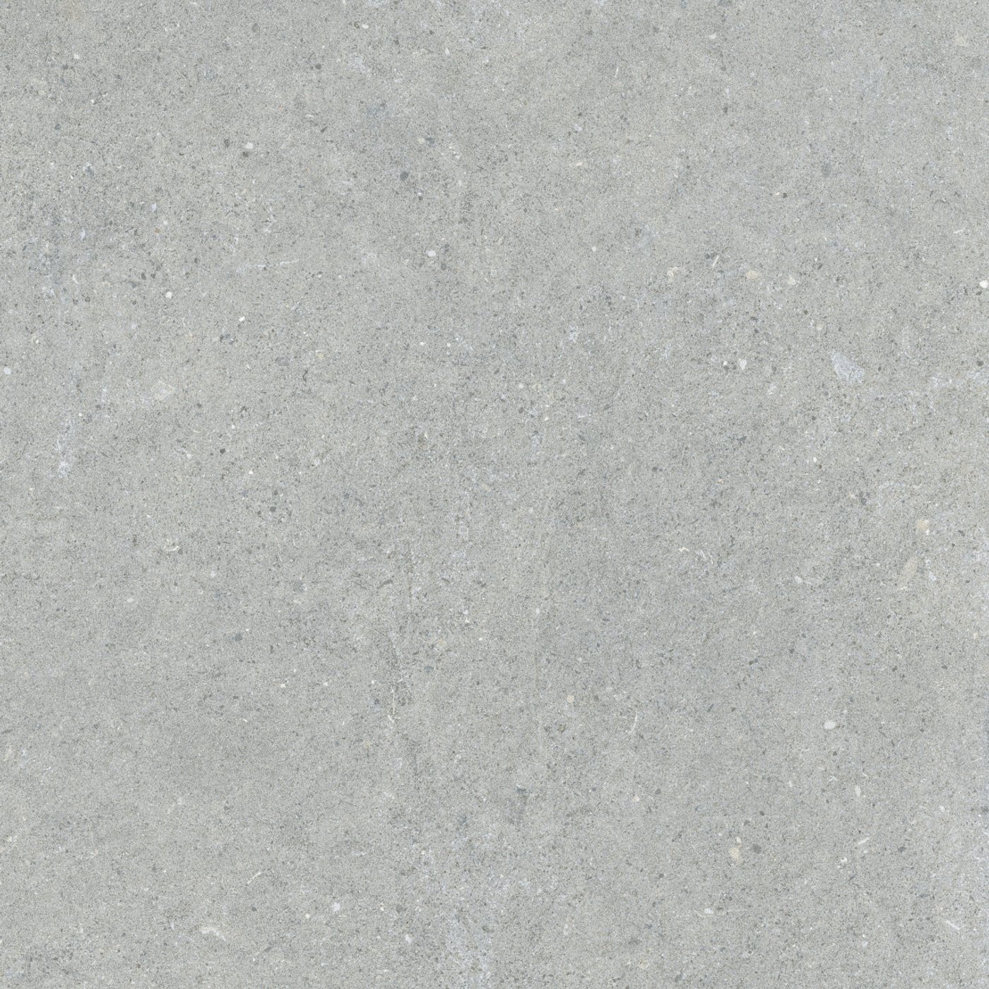 Coral Grigio Chiaro 60×120 cm — közeli nézet