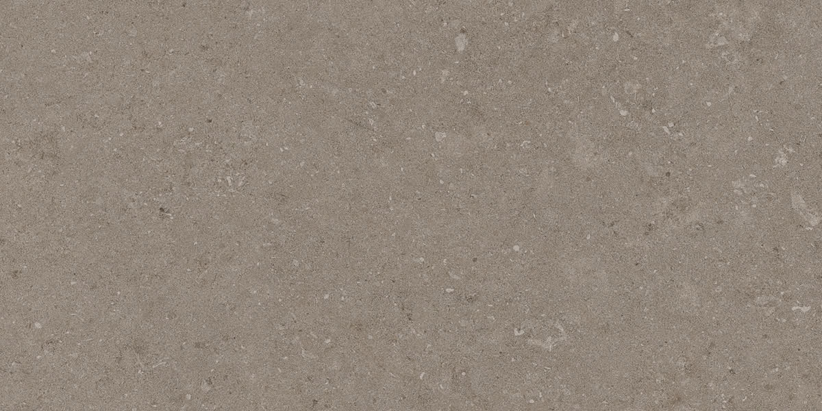 Natural Taupe 30×60 cm