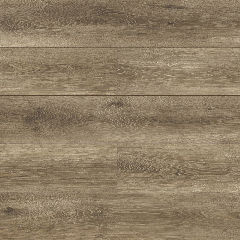 5380 Andromeda tölgy - Kronopol 1380×193 mm
