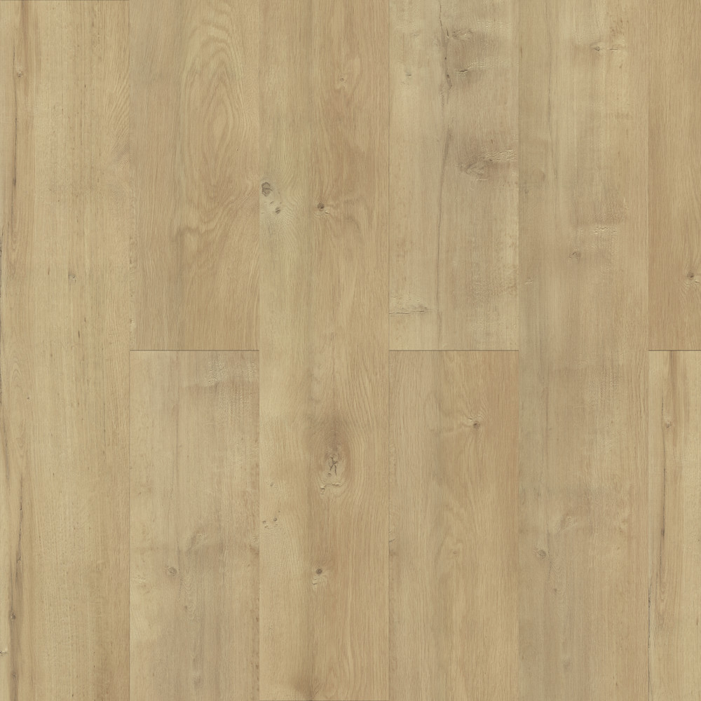 Domino SPC Acoustic Reed